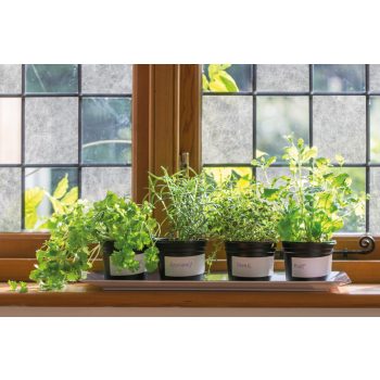   Öntapadós üvegfólia – rizspapír mintás – 45 × 200 cm