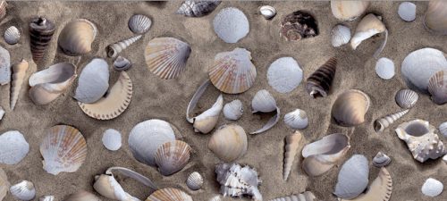 Öntapadós tapéta – kagylós – 45 × 200 cm