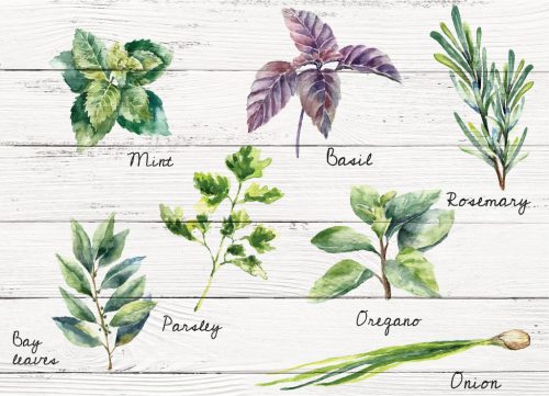 Csempefólia - fűszernövények 47 x 65 cm