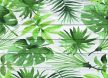 Csempefólia - trópusi 47 x 65 cm