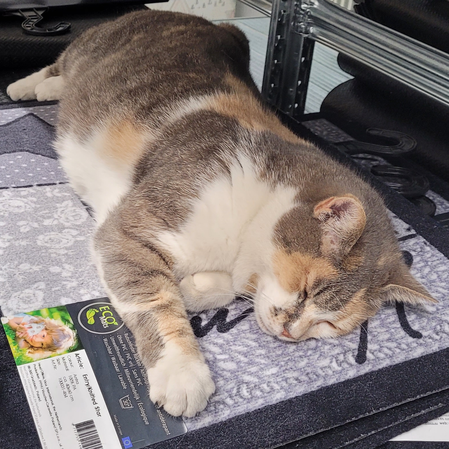 Kik vagyunk / Rólunk